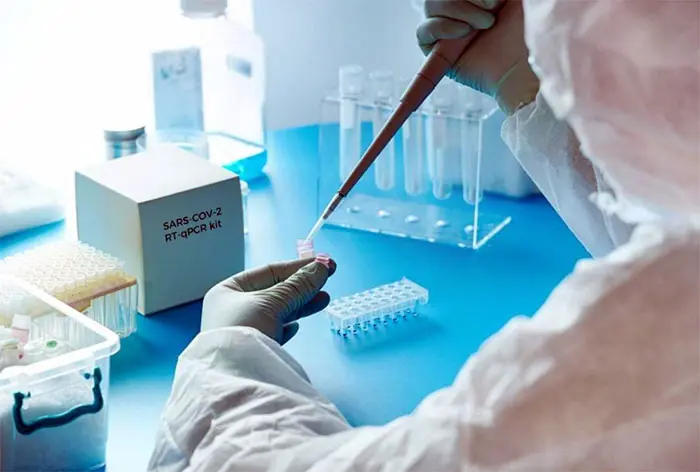 Covid-19 en el país: confirman 382 muertos y 8.713 nuevos casos