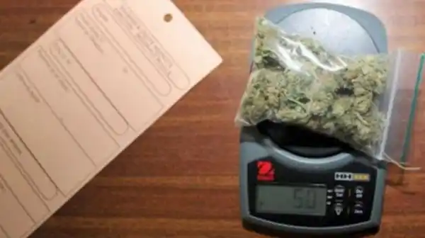 Cómo se realizará la venta de marihuana en Uruguay