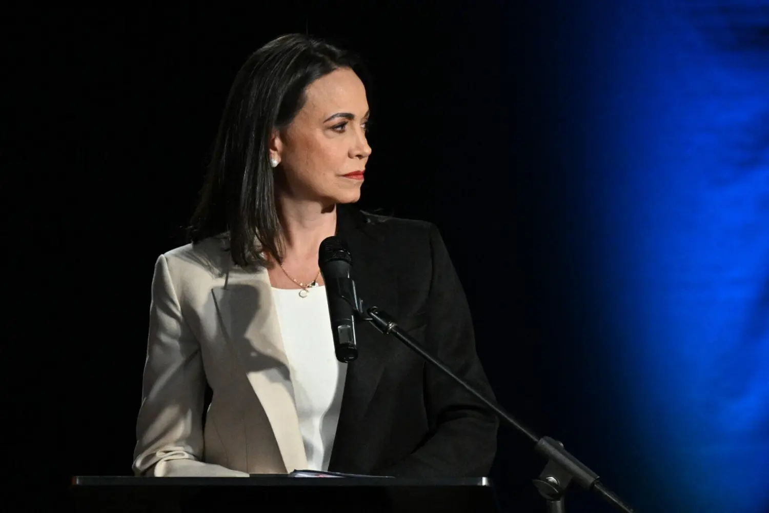 LAS PROPUESTAS DE MARÍA CORINA MACHADO de cara a su candidatura a la primaria