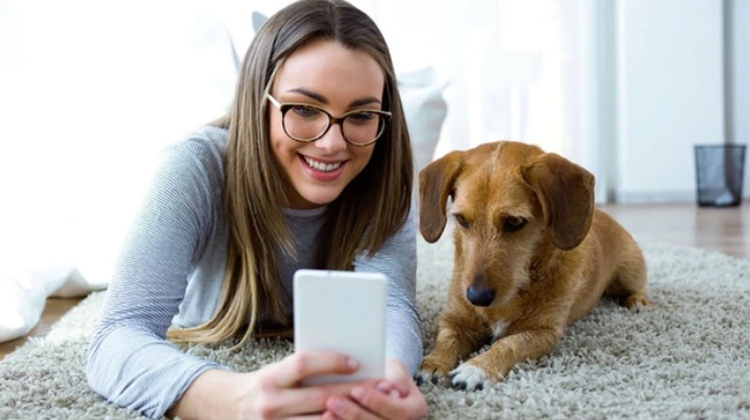 Aumentó la esperanza de vida en gatos y perros