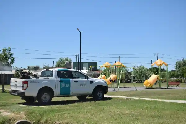 Fumigación y control de plagas en espacios públicos de nuestra ciudad