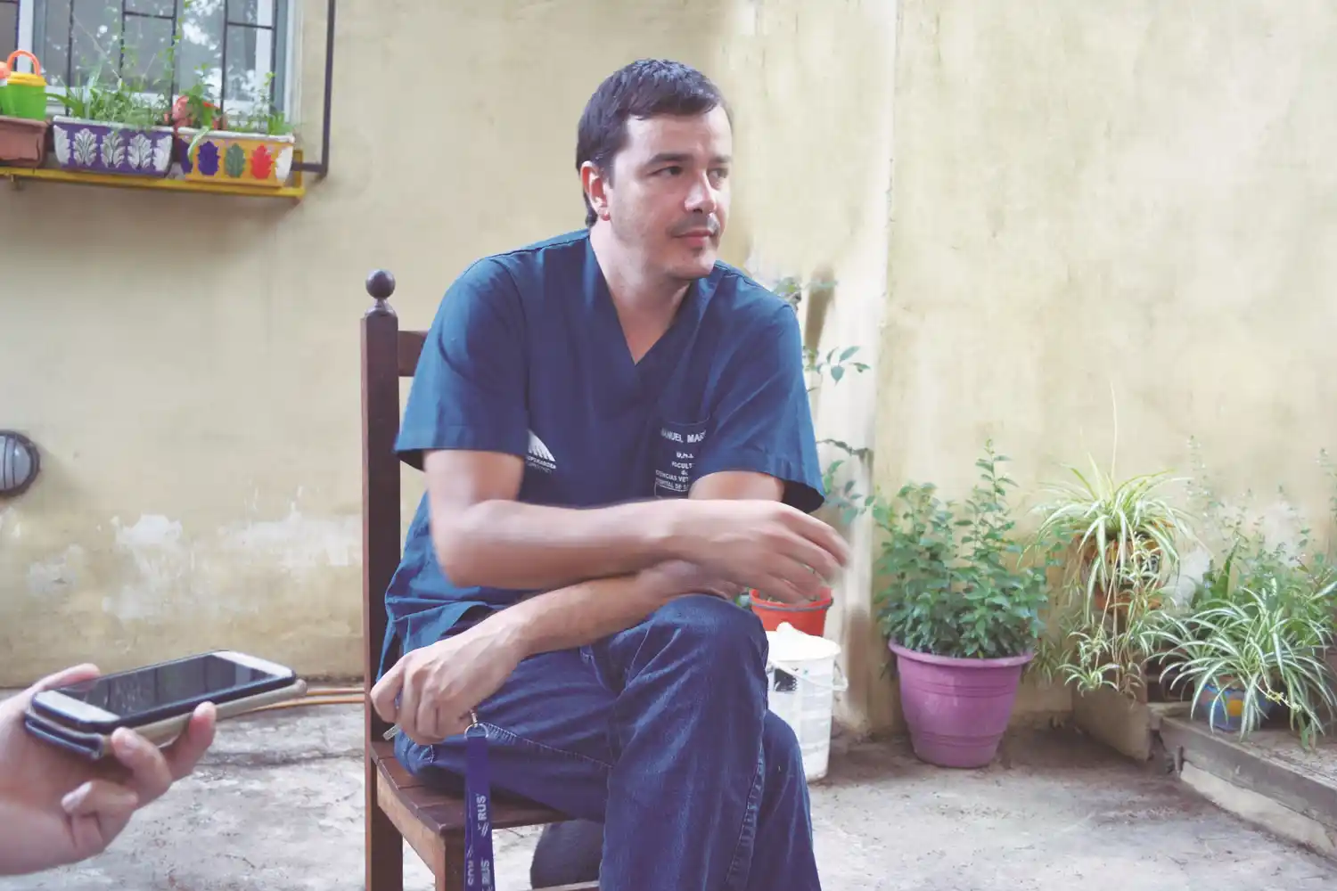 Veterinario victoriense es furor en Instagram posteando casos raros de nacimientos vacunos