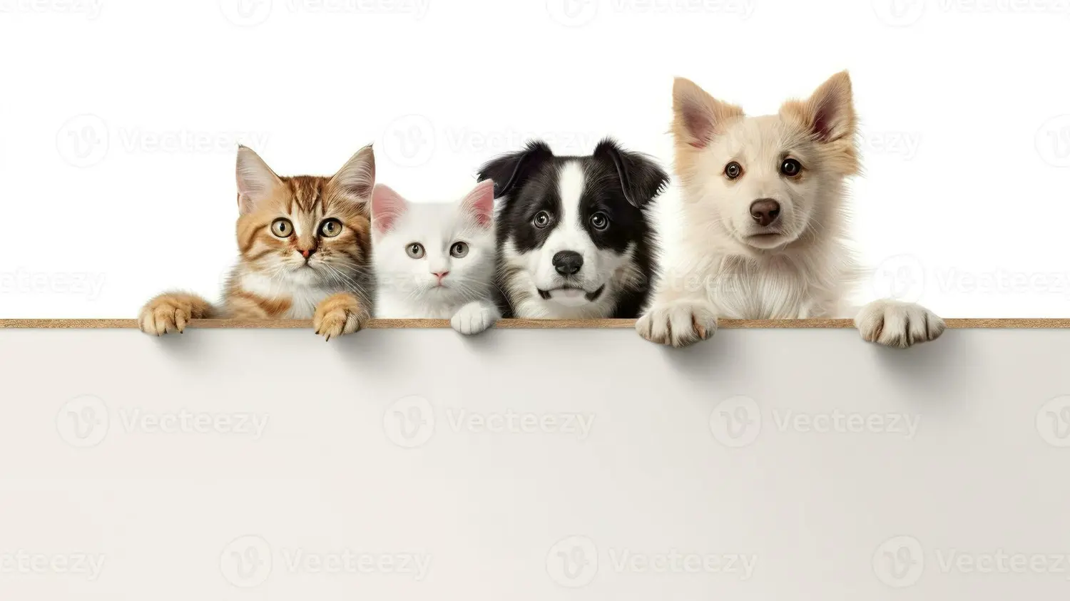 “Zoonosis en acción” para nuestras mascotas