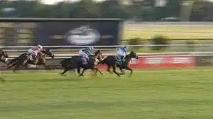 Sixties Song ganó en el Gran Premio Latinoamericano de turf