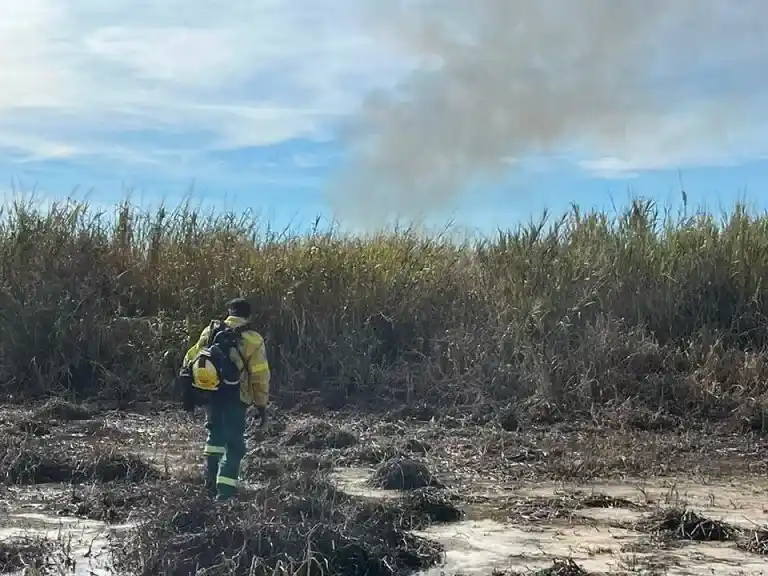 incendio lechiguanas islas entre ríos aceñaloza