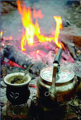 Esas costumbres tan criollas de tomar mate y dormir la siesta