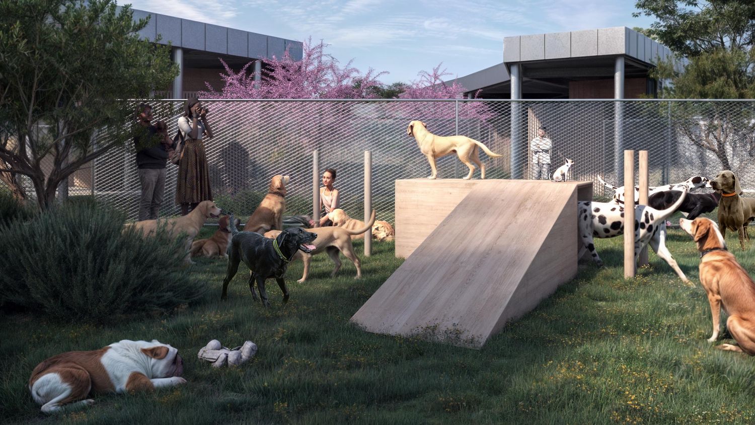 Inauguran un hotel para perros con spa y videollamadas en el aeropuerto de Roma-Fiumicino