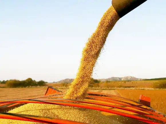 Tras la quita de retenciones, el Gobierno sostuvo que el campo es “prioritario” y lo consideró como “aliado”