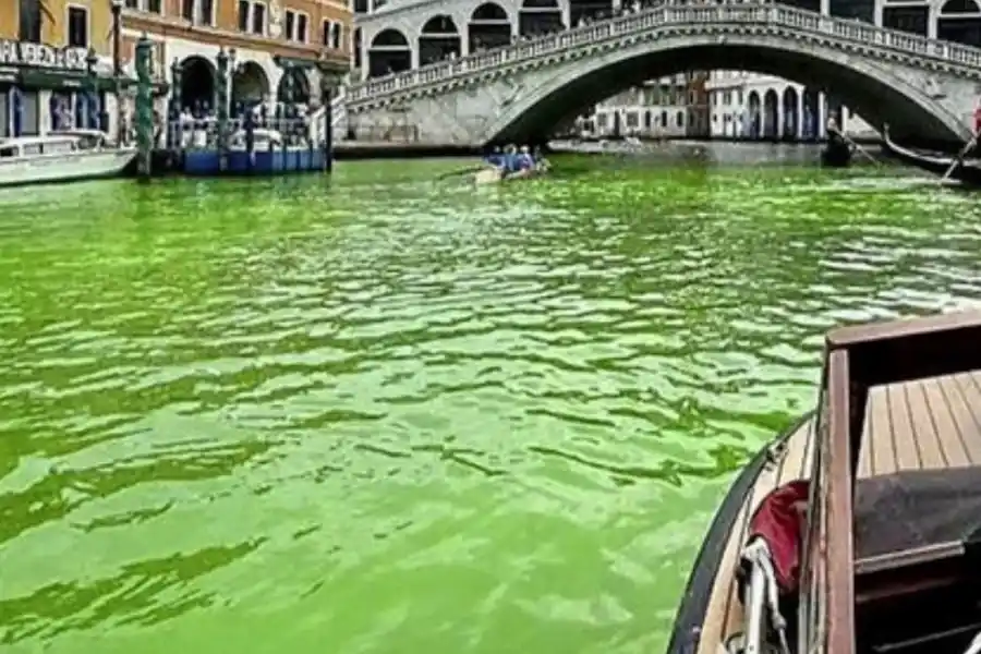 Misterio en los canales de Venecia: ¿Qué es el líquido verde que brilla en el agua?