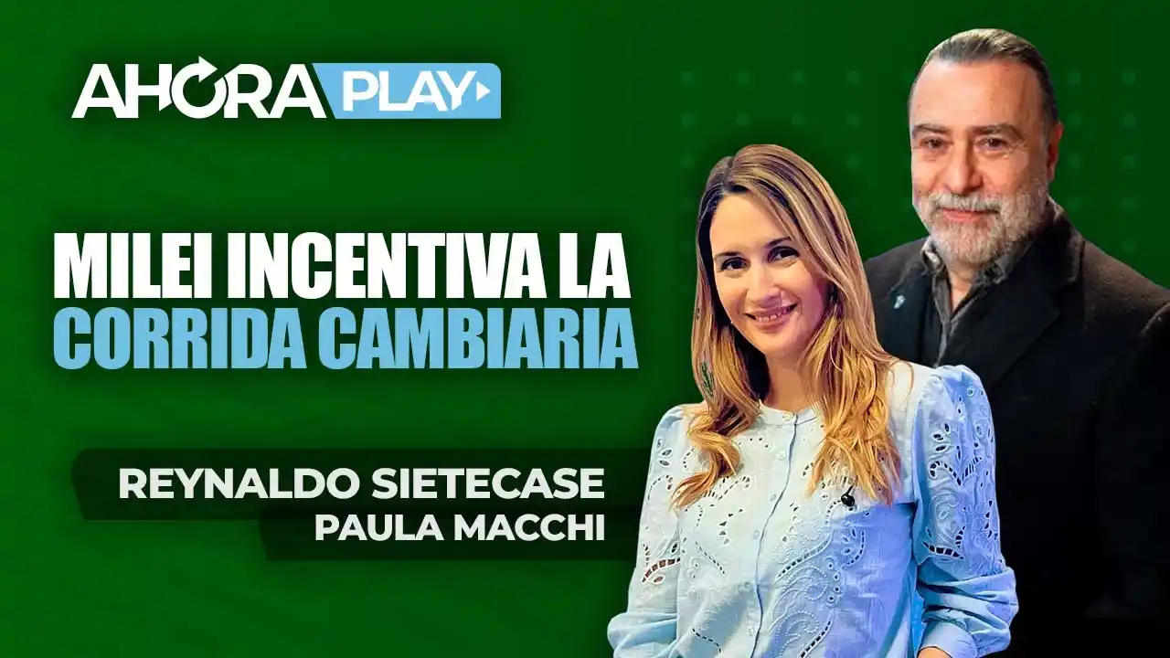 Sietecase: "Como Menem, Milei echa nafta al fuego e incentiva la corrida cambiaria"