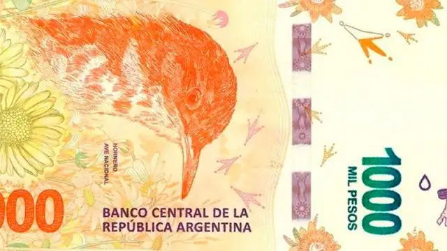 El gobierno toma fondos de la Anses para financiamiento de corto plazo