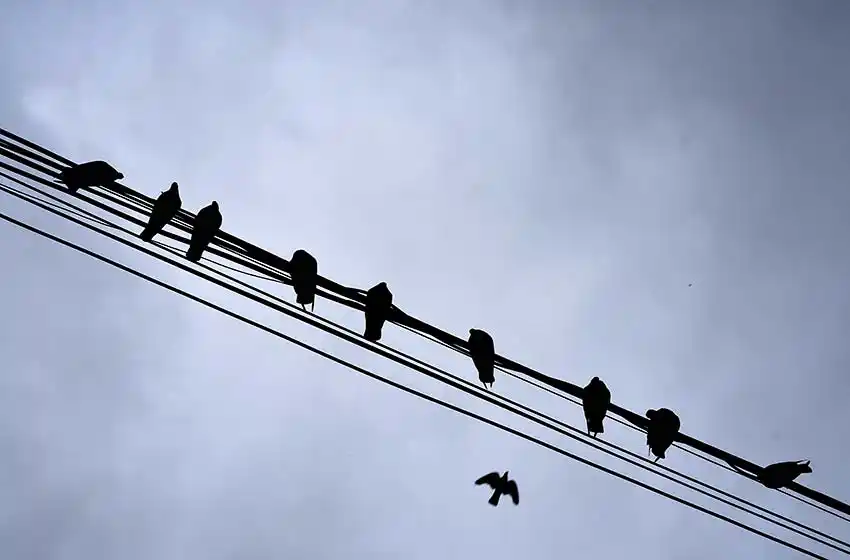 Sin ver el sol: el cielo sigue siendo mucho más gris que azul