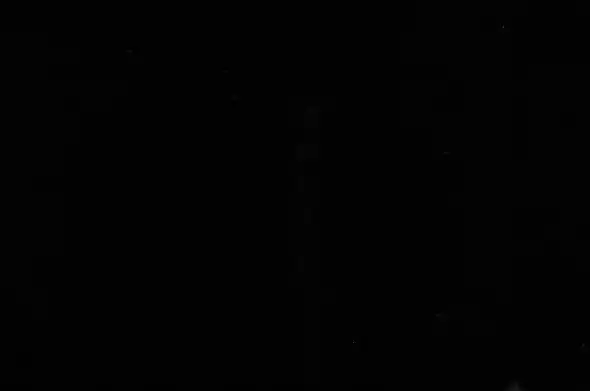 La Terminal de Ómnibus está totalmente a oscuras: un apagón afectó al suministro de luz desde la tarde