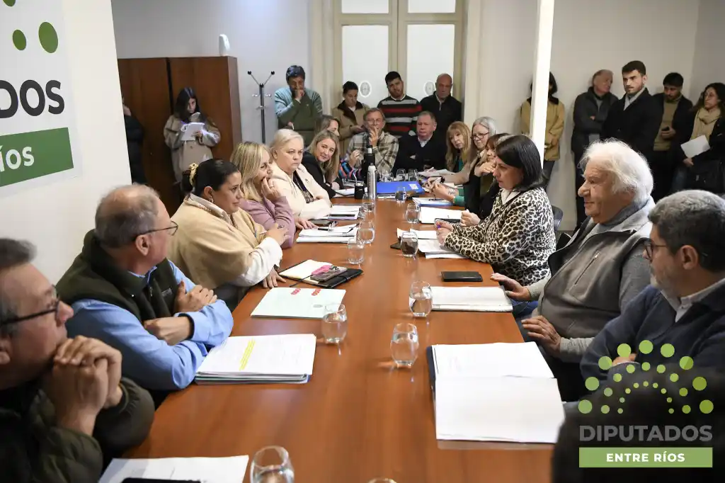 Diputados avanzaron en el debate de los proyectos de consorcios camineros