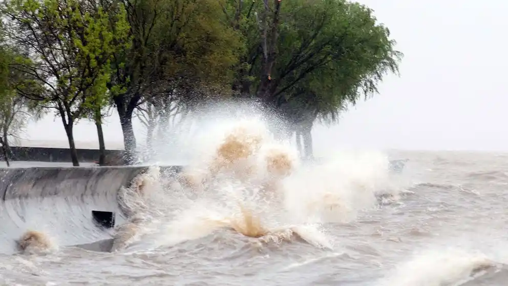 Rescataron de la playa de Berisso a dos hombres que fueron sorprendidos por la crecida del Río de la Plata, estaban sobre la copa de los árboles (Télam)