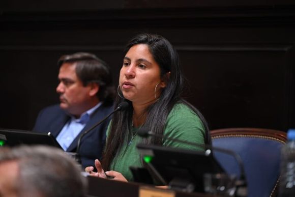 Homenaje a Francisco: “Fue un rebelde y la iglesia nunca más va a volver a ser la misma”, dijo la diputada Saavedra