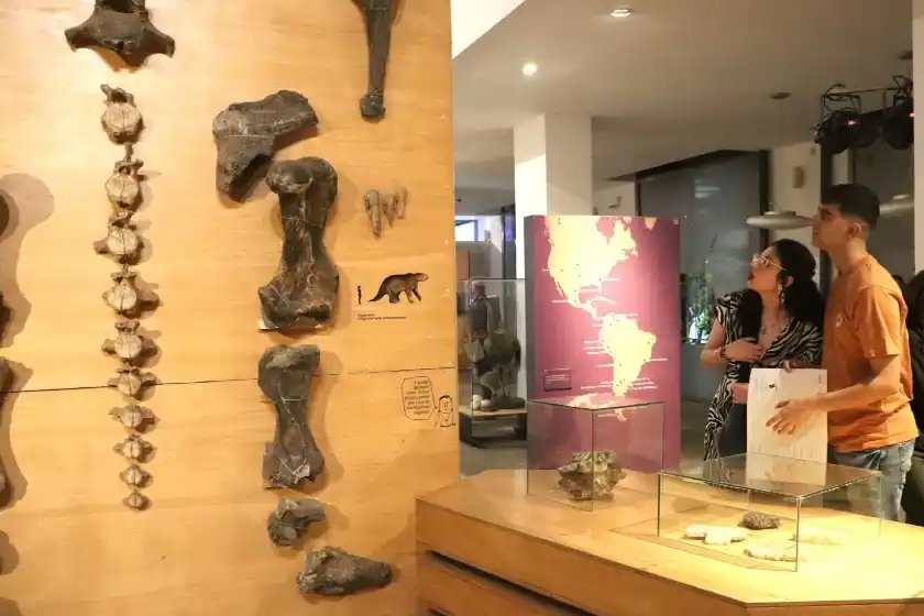 Más de 8 mil personas asistieron a la Noche de los Museos Abiertos en Rosario