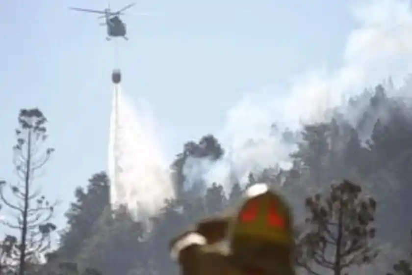 Confirmaron que el fuego en el Parque Nacional Los Alerces “consumió cerca de 7 mil hectáreas”