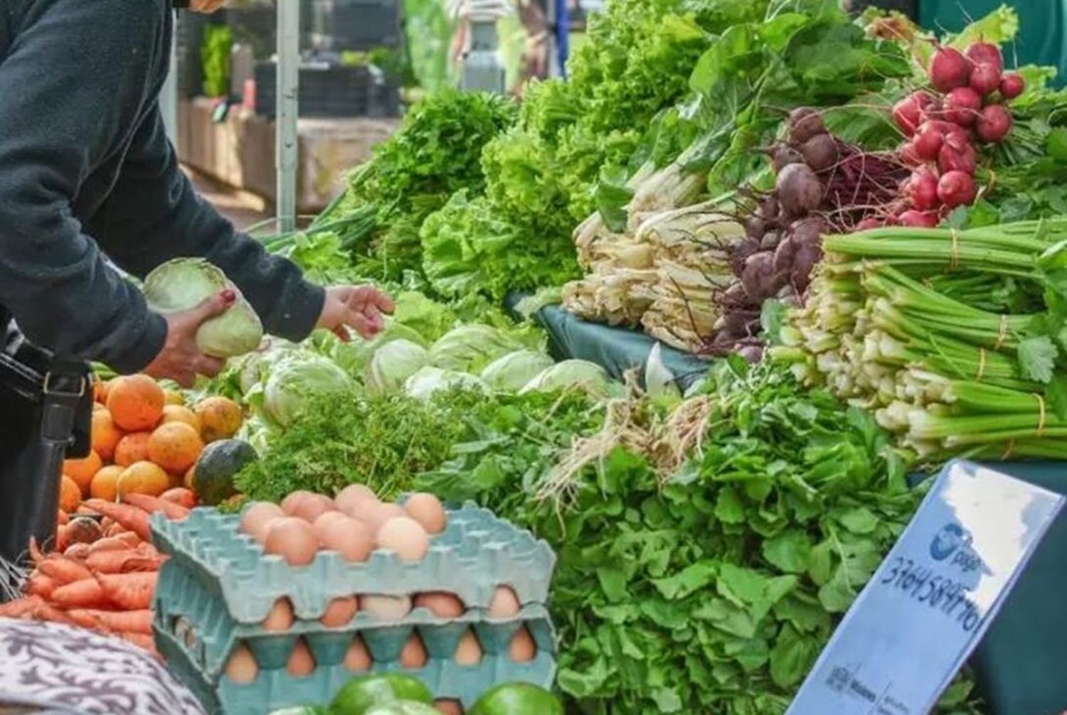 Iguazú | Hoy abre sus puertas el Mercado de Soberanía Alimentaria