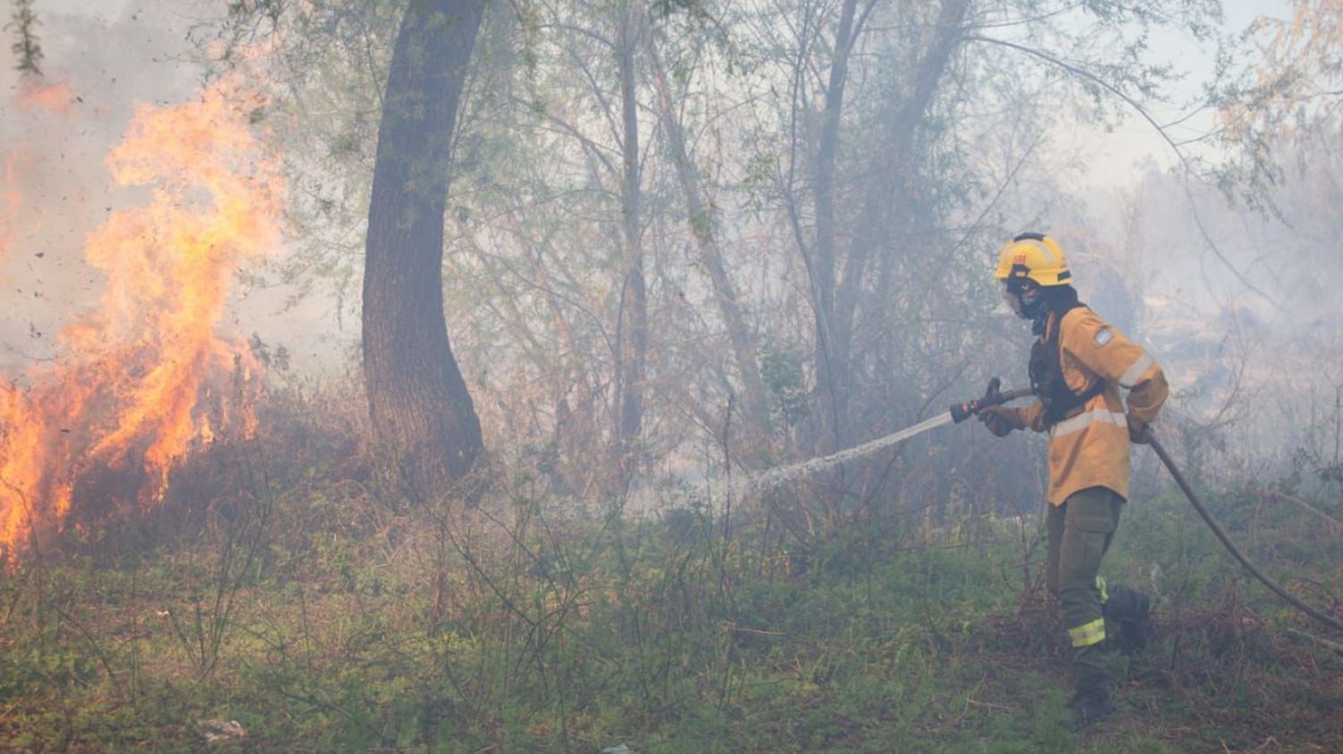 Son más de cuatros focos de incendios los que se encuentran activos afectando a pueblos y ciudades de la provincia vecina, y el humo llegó a la ciudad de Rosario y poblaciones cercanas.