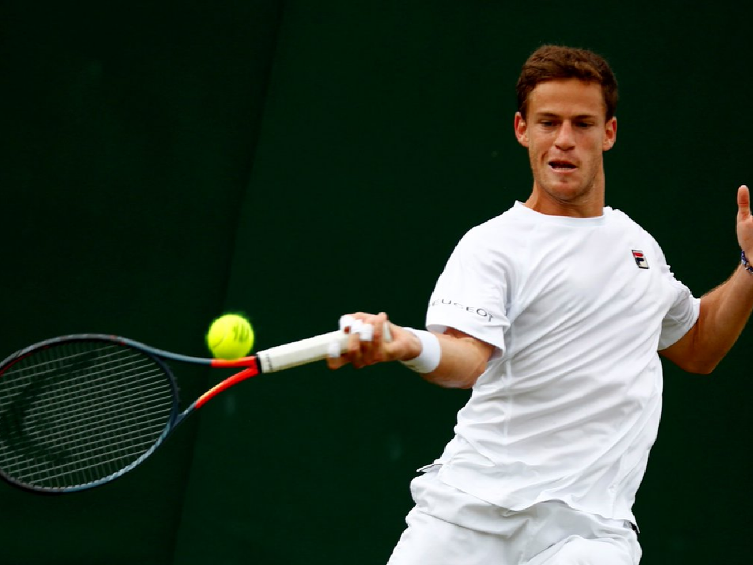 Schwartzman, la única alegría en Londres