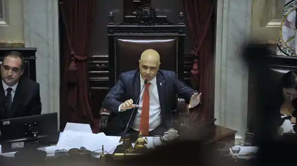 El Senado reabre la disputa por la ley de emergencia en discapacidad