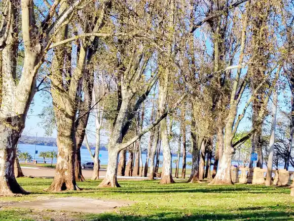 Pronostican temperaturas de 30 grados en el Litoral: qué pasará con el tiempo en Entre Ríos