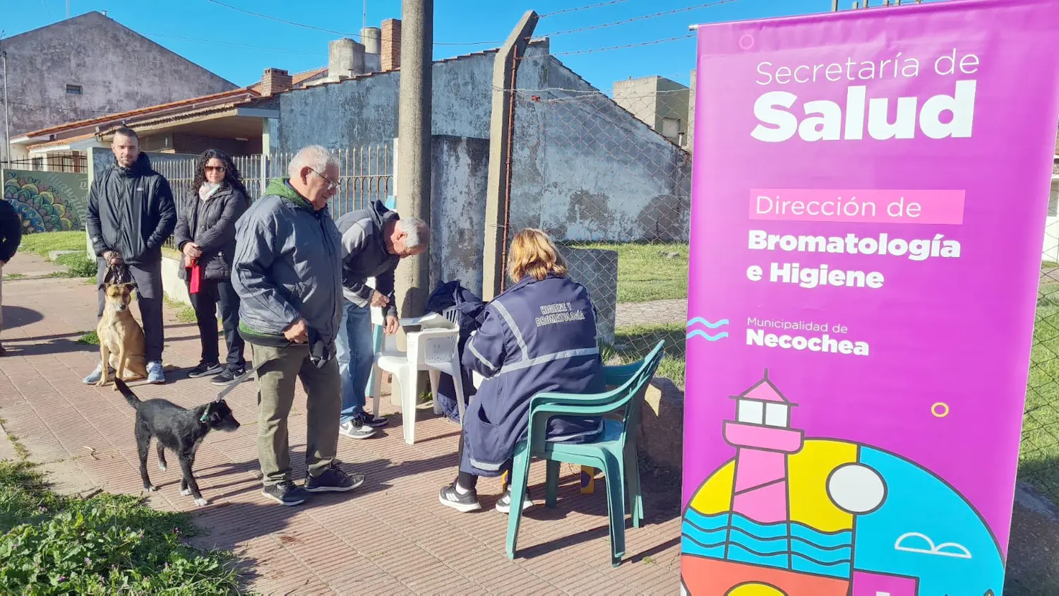 Casi 80. Animales fueron vacunados el viernes