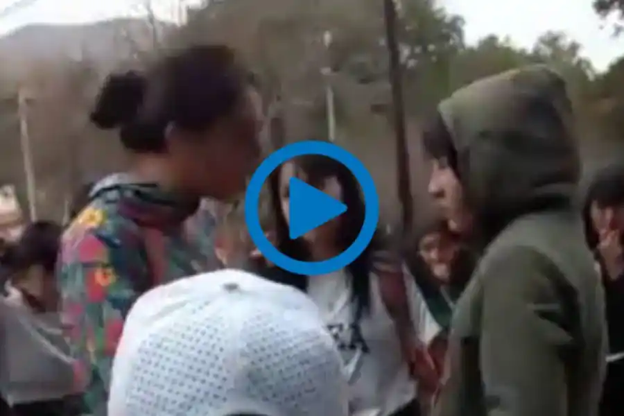 VIDEO | “Te voy a arrancar todos los pelos”: una madre amenazó a una niña a la salida de una escuela en Córdoba