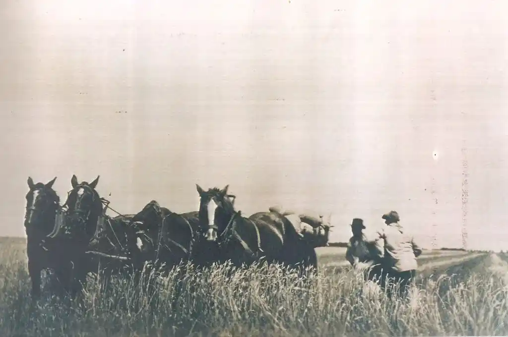 Era de toda la familia extendida y un testimonio de la colonización del campo santafesino. Foto: Archivo