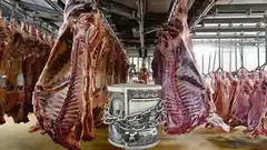 Con las restricciones a la exportación se perdieron divisas por U$S 700 millones