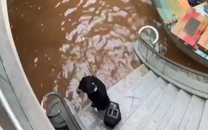 Dramático video: se inundó el edificio de Torneos por un caño maestro roto