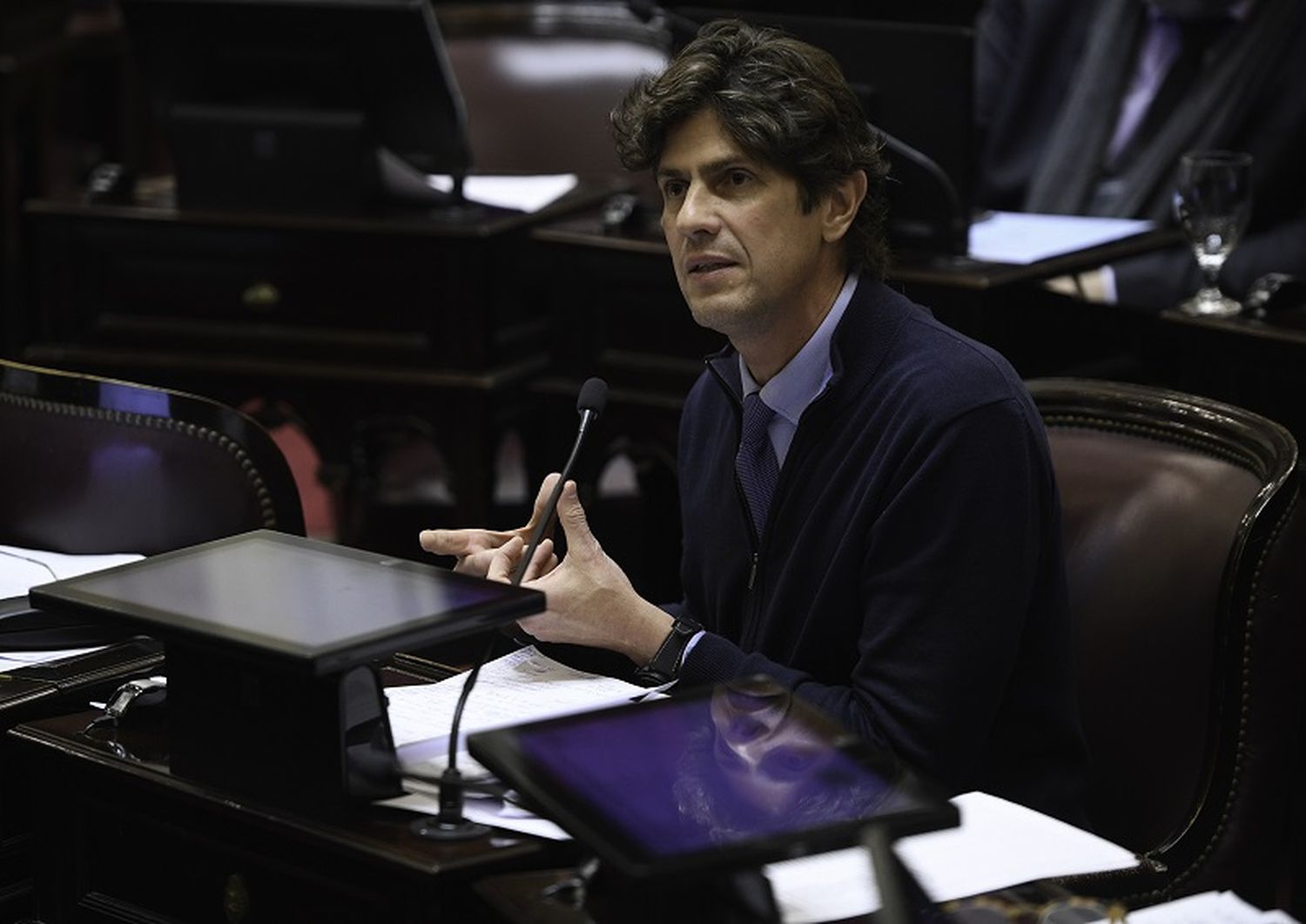 Martín Lousteau durante su alocución en el Senado.