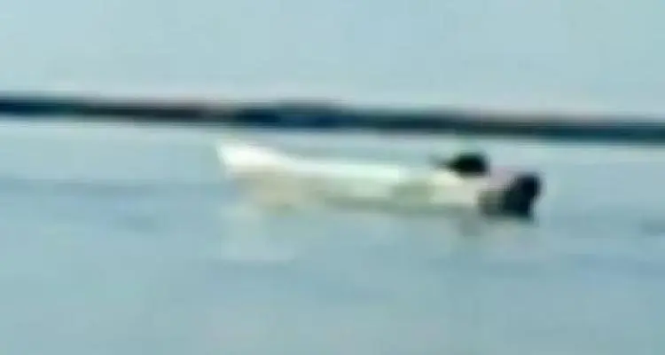 Murió la ballena hallada en el Río Paraná