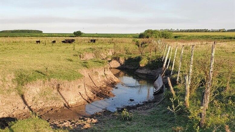 “El campo está todo cortado”