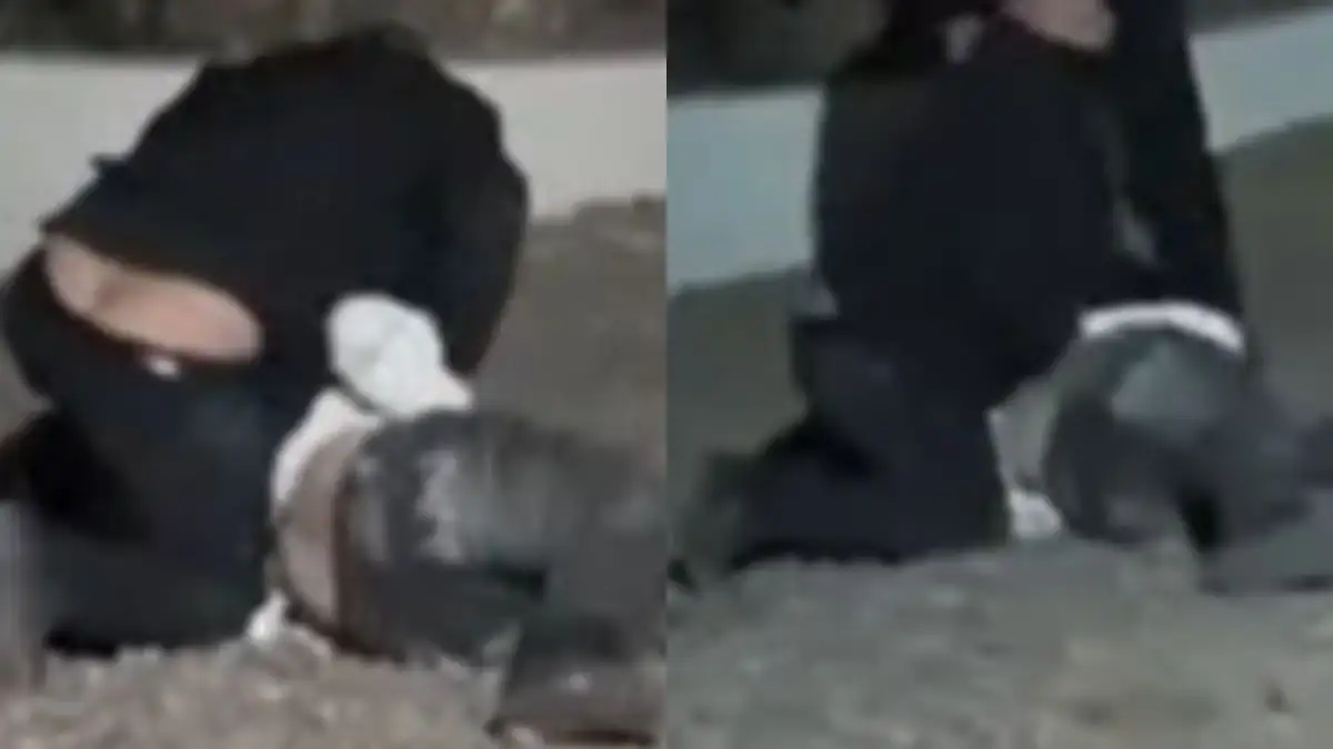Imágenes extraídas del video donde se atestigua la violencia ejercida hacia el joven