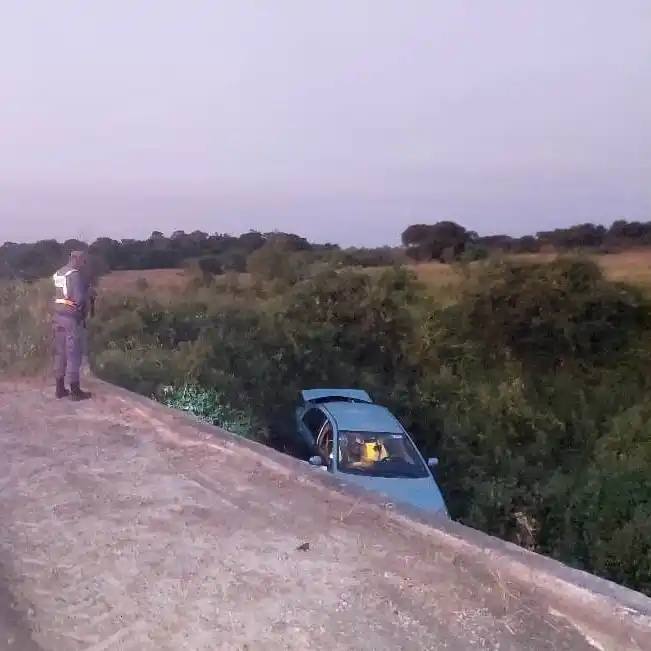 Un automóvil despistó cerca del Riacho Monte Lindo