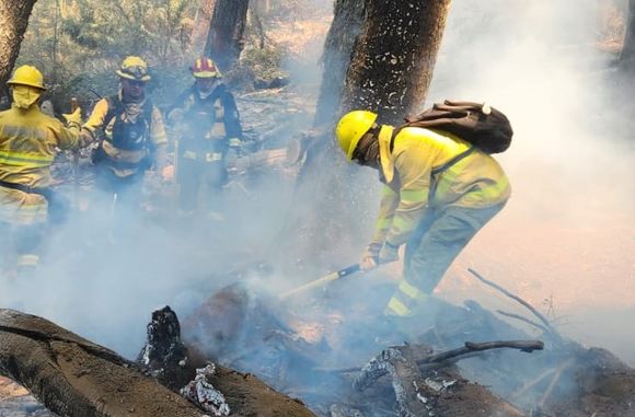 Luis Torrens continúa en la ardua tarea de combatir el fuego en el Parque Nacional Lanín