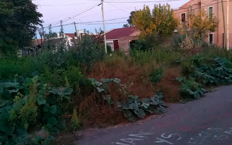Reclamo: “Pleno boulevard, queda horrible”