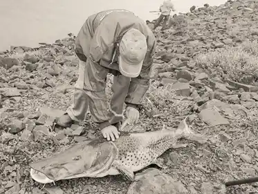 PESCA EN EL GUAYQUIRARÓ