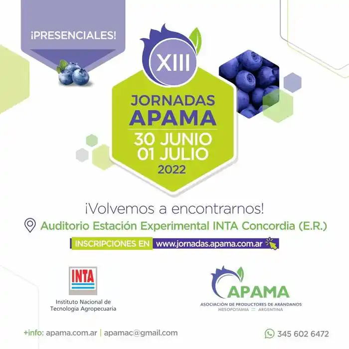 El contexto internacional  será eje de las próximas  Jornadas APAMA