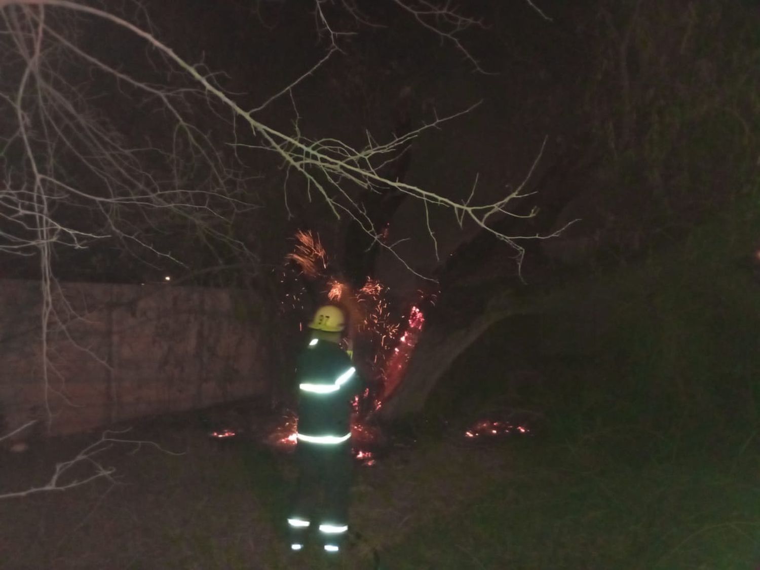 La base del árbol tomó fuego, y el incendio fue controlado por los servidores públicos.