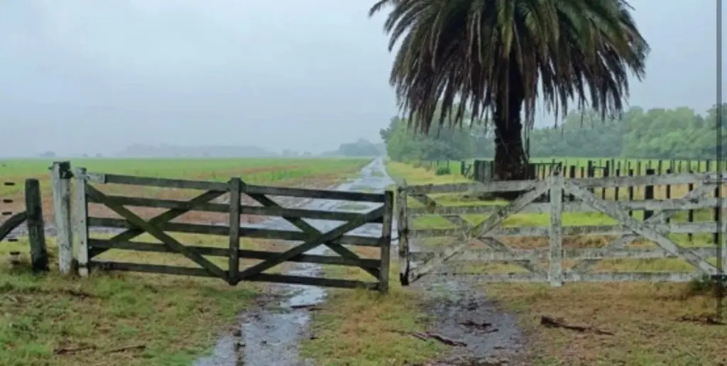 Las lluvias dejarían en promedio entre 10 a 30 mm en la provincia.