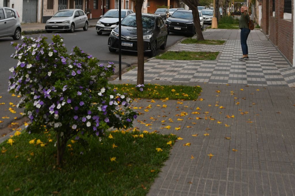 Primavera en Santa Fe