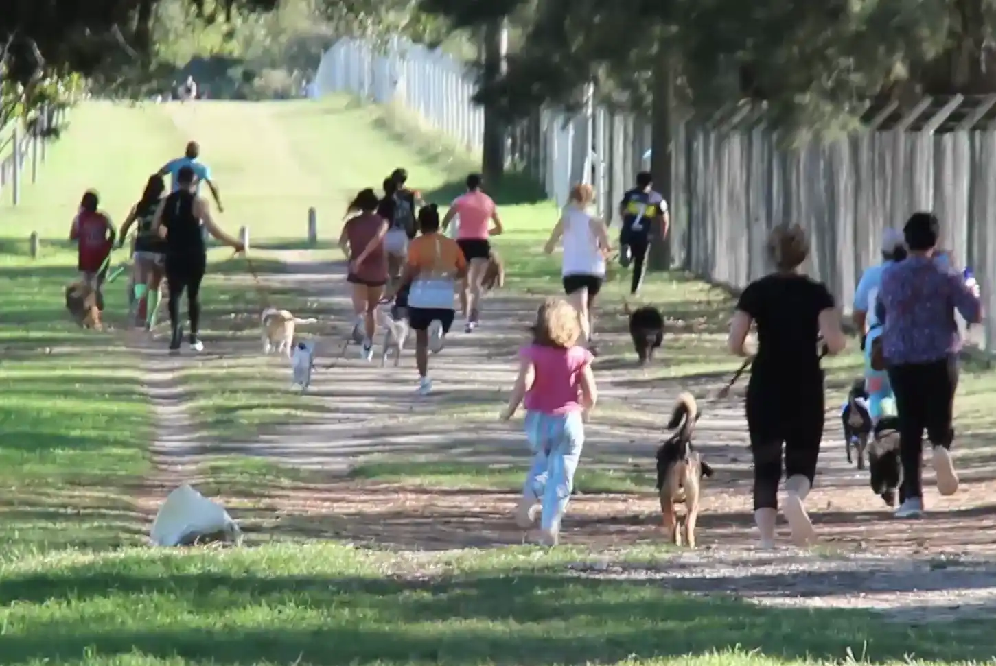 Convocan a una nueva edición del “Perrotón 2026”: será en el Polideportivo Bicentenario de LSM