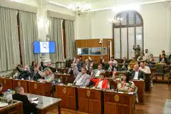 Se presentaron 433 proyectos en el Senado éste año