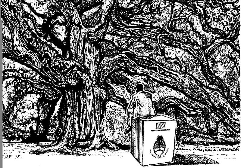 No dejen que el árbol les tape el bosque