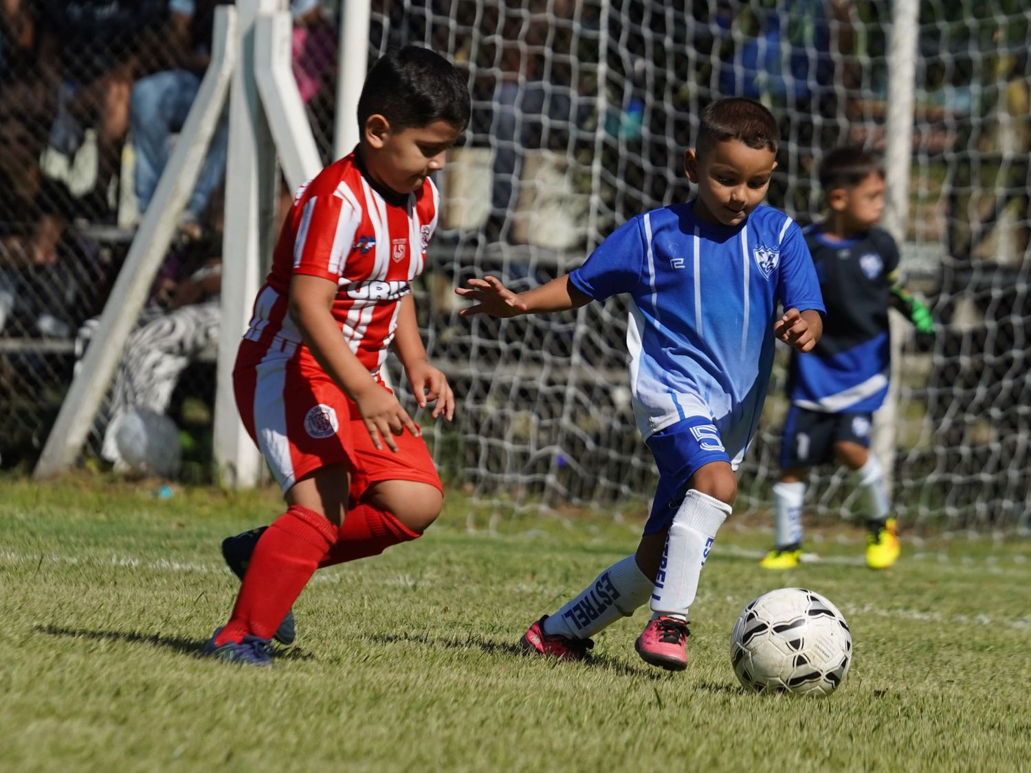 Calendario confirmado para la segunda fecha del Torneo Apertura de Baby Fútbol