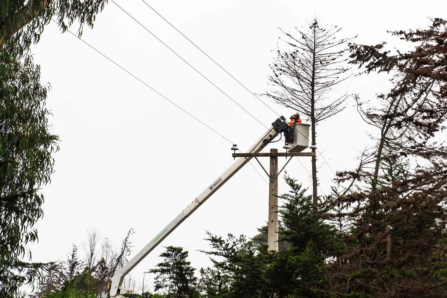 La EPE interrumpirá el servicio eléctrico en dos barrios de la ciudad