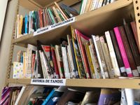 Adpra se pronunció en defensa de las bibliotecas populares